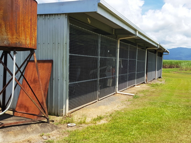 137 Silkwood Japoon Rd, Silkwood QLD 4856