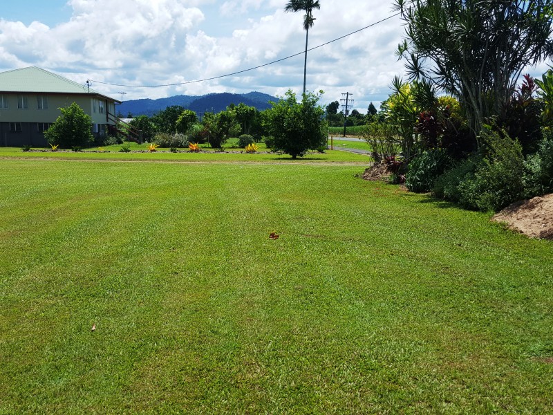 137 Silkwood Japoon Rd, Silkwood QLD 4856