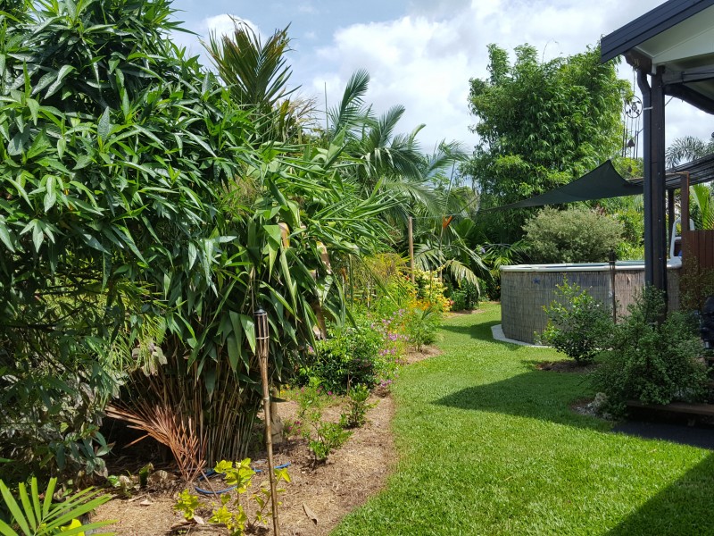 4 Parnell Close, Kurrimine Beach QLD 4871