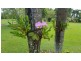 293 Gauci Rd, Silkwood QLD 4856
