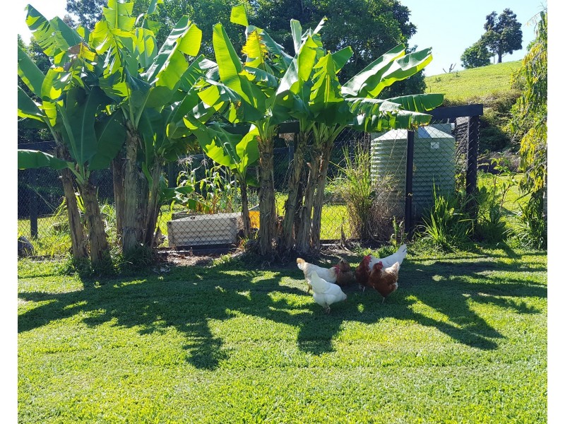 814 SILKWOOD JAPOON ROAD, Silkwood QLD 4856