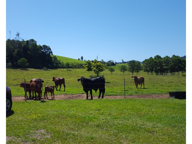 814 SILKWOOD JAPOON ROAD, Silkwood QLD 4856