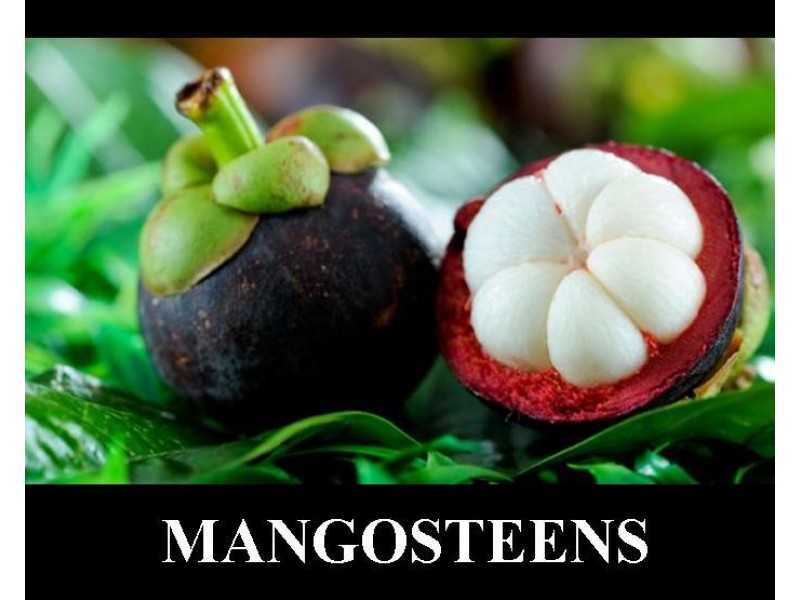 88 Gullotta Rd, Silkwood QLD 4856