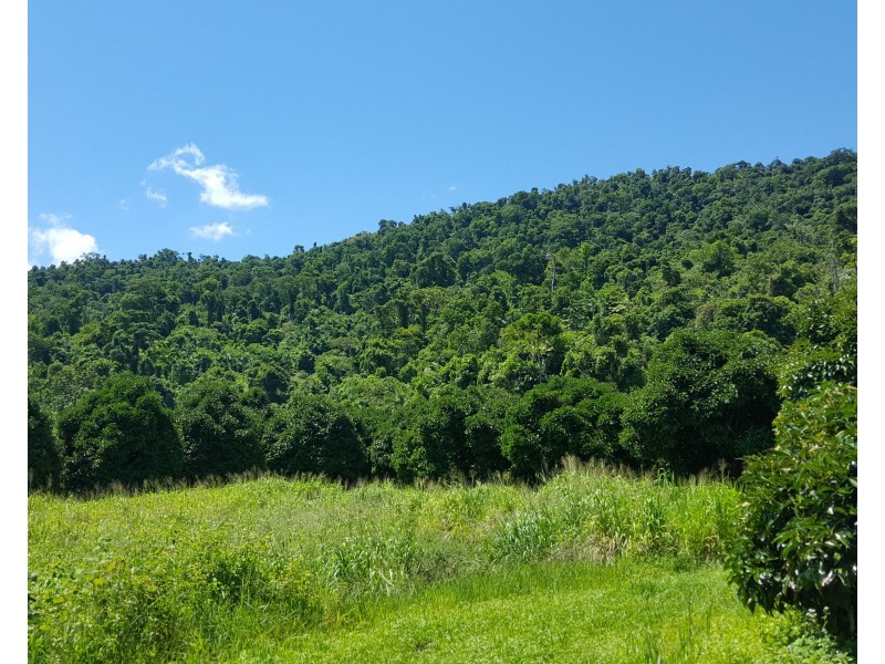 88 Gullotta Rd, Silkwood QLD 4856