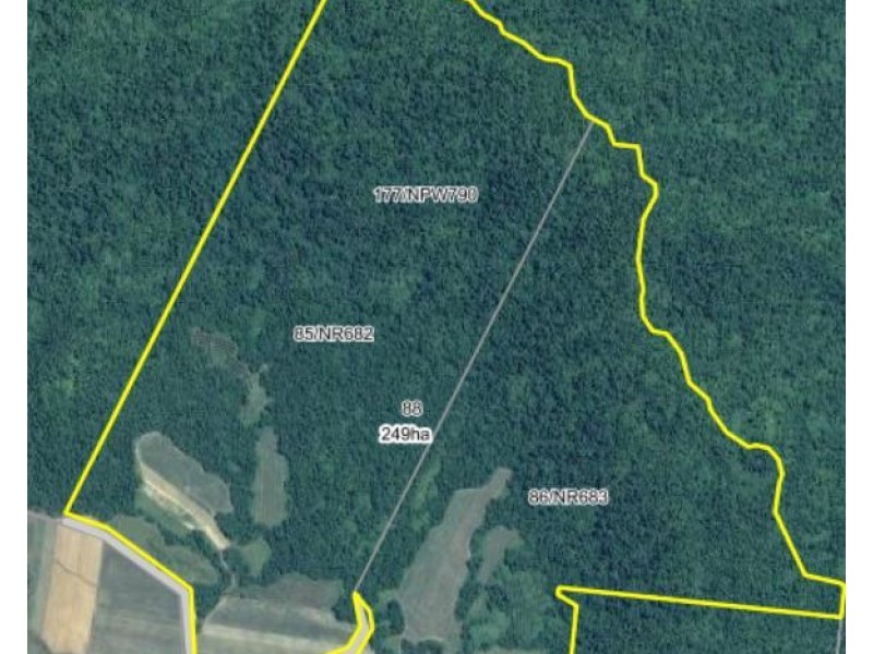 88 Gullotta Rd, Silkwood QLD 4856