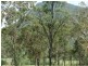 Lot 16 Duncan Drive, Aratula QLD 4309