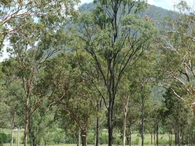 Lot 16 Duncan Drive, Aratula QLD 4309