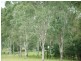 Aratula QLD 4309