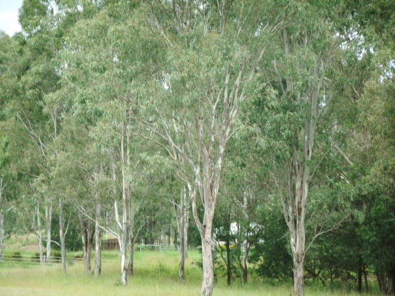 Aratula QLD 4309