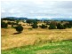 Boonah QLD 4310