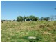 Boonah QLD 4310