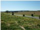 Boonah QLD 4310