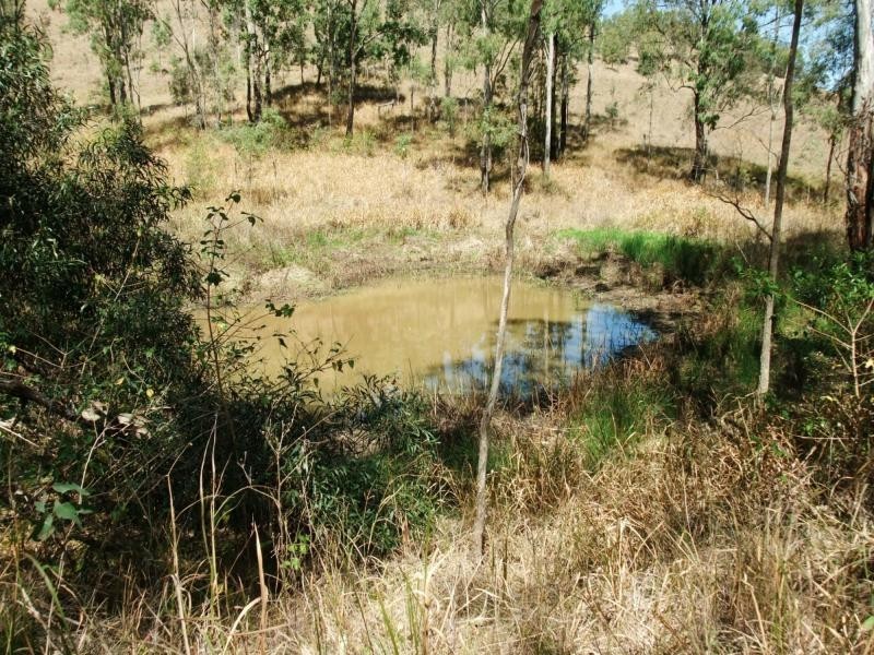 Carneys Creek QLD 4310