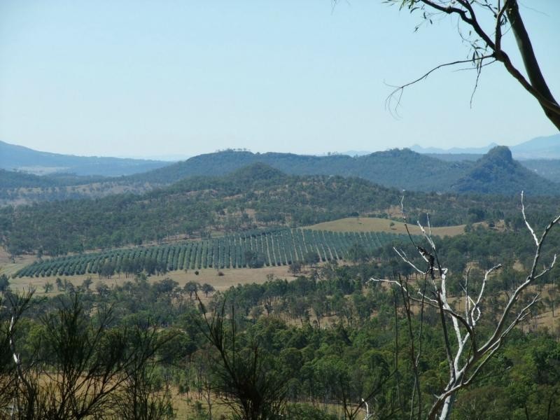 Carneys Creek QLD 4310