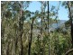 Carneys Creek QLD 4310