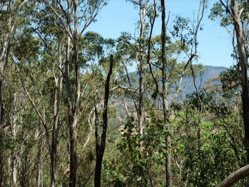 Carneys Creek QLD 4310