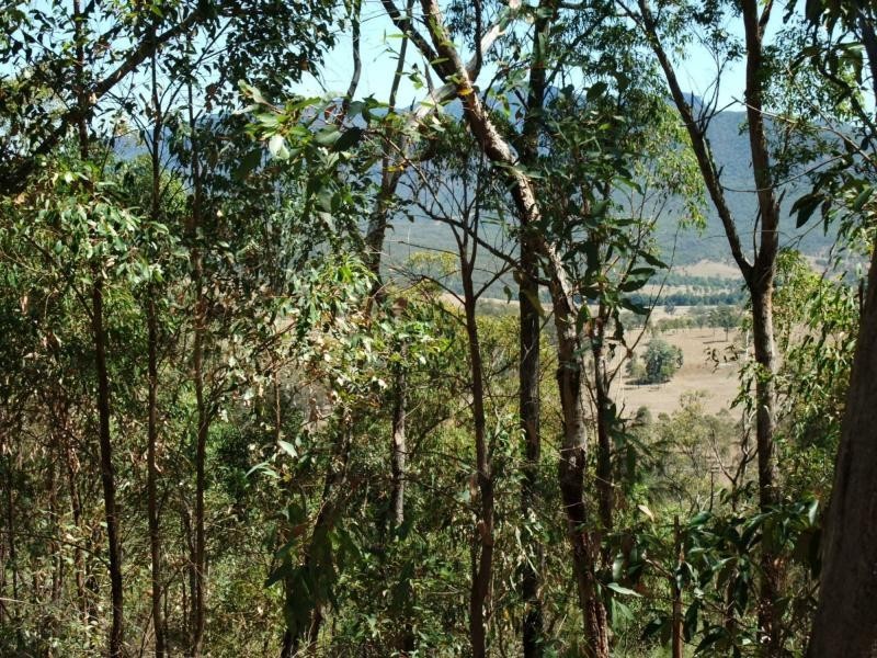 Carneys Creek QLD 4310