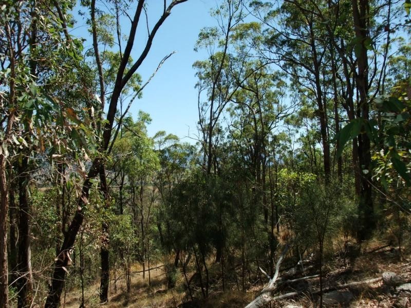 Carneys Creek QLD 4310