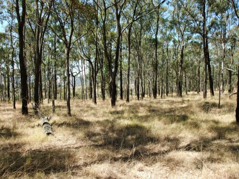 Carneys Creek QLD 4310