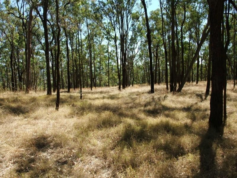 Carneys Creek QLD 4310
