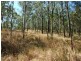 Carneys Creek QLD 4310