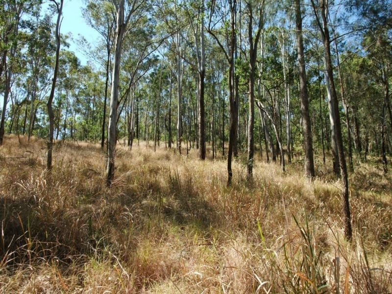 Carneys Creek QLD 4310