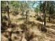 Carneys Creek QLD 4310