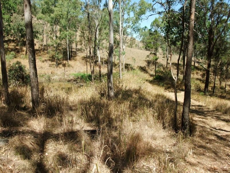 Carneys Creek QLD 4310