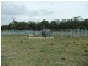 Moogerah QLD 4309