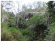 Moogerah QLD 4309