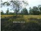 Tarome QLD 4309