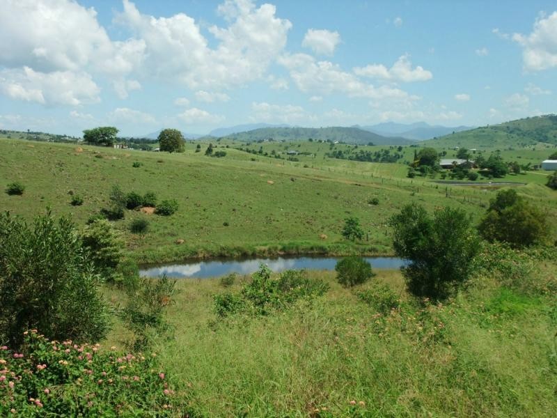 Milford QLD 4310