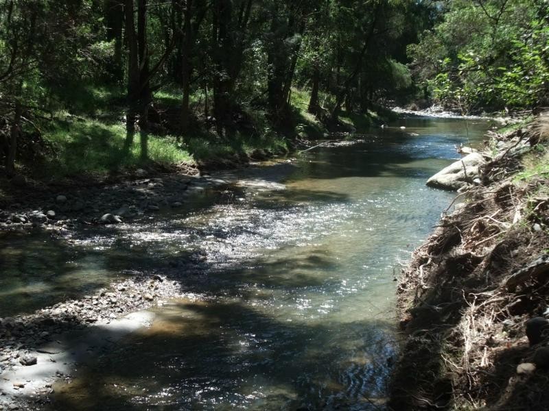 Carneys Creek QLD 4310