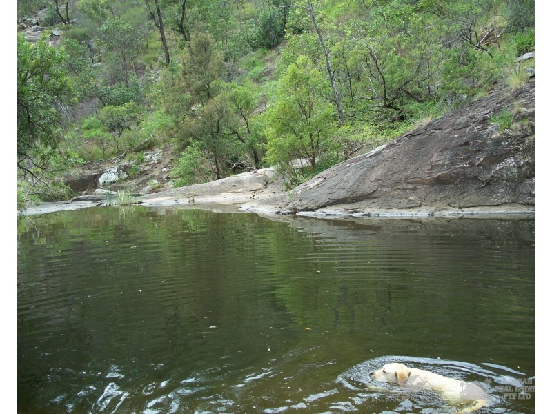 Carneys Creek QLD 4310