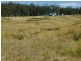 Carneys Creek QLD 4310