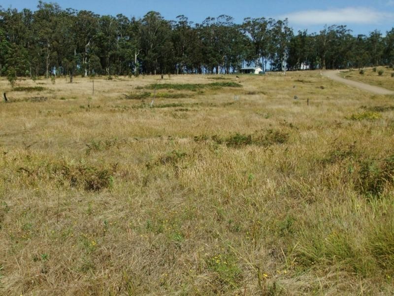 Carneys Creek QLD 4310