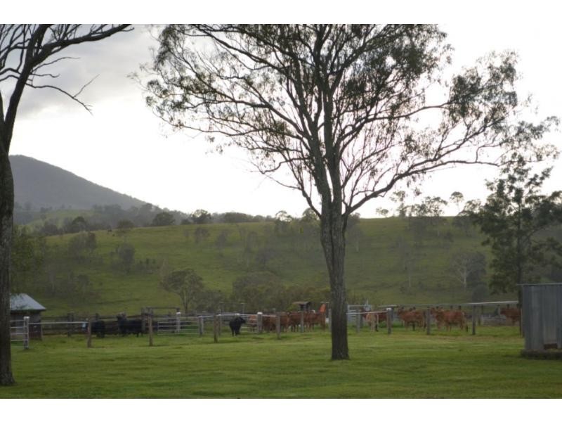 Maroon QLD 4310