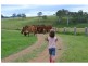 Maroon QLD 4310