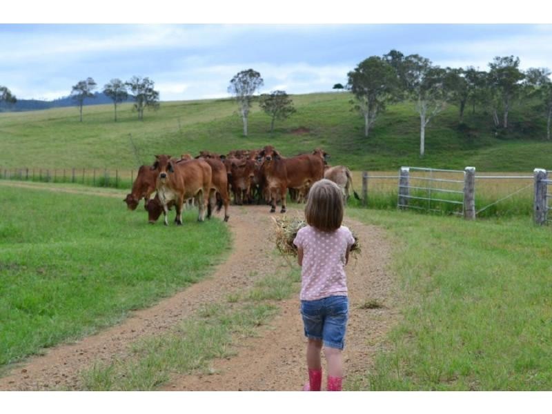 Maroon QLD 4310