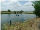 Warrill View QLD 4307