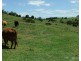 Lot 15 Holz Road, Roadvale QLD 4310