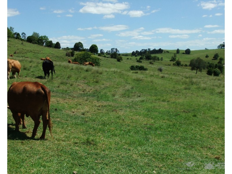 Lot 15 Holz Road, Roadvale QLD 4310