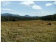 Carneys Creek QLD 4310