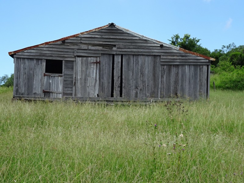 Teviotville QLD 4309