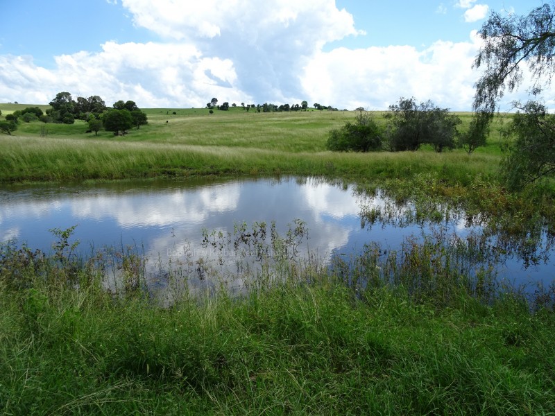 Teviotville QLD 4309