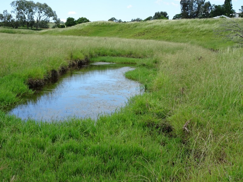 Teviotville QLD 4309