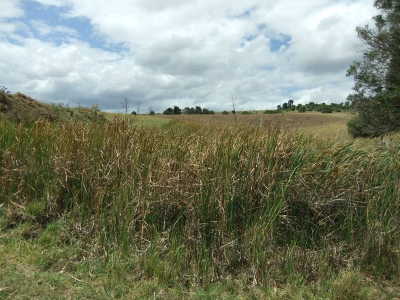 Teviotville QLD 4309