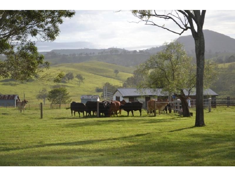 Maroon QLD 4310