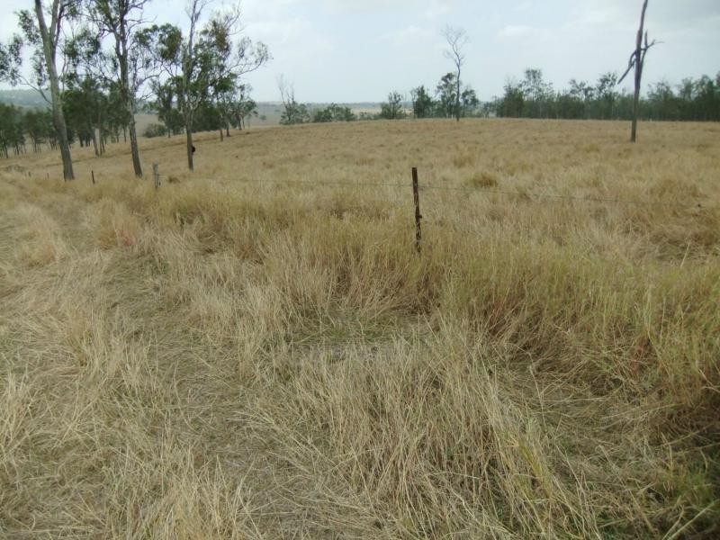 Warrill View QLD 4307