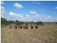Warrill View QLD 4307